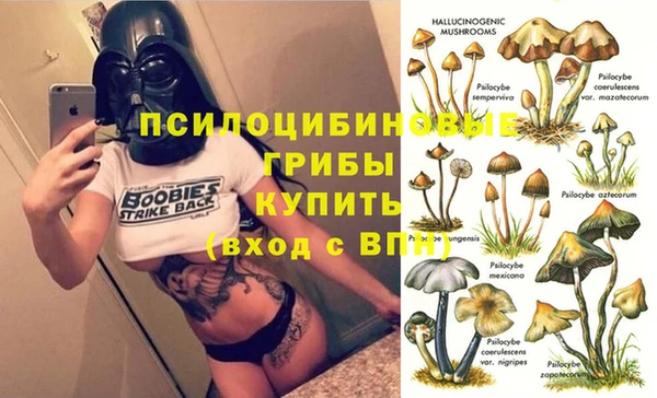 ALPHA-PVP Армянск