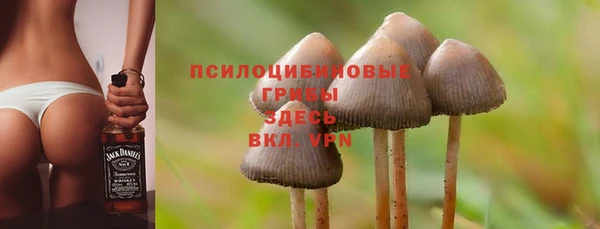 MDMA Premium VHQ Аркадак