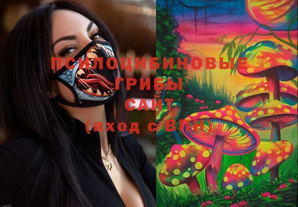 каннабис Арсеньев
